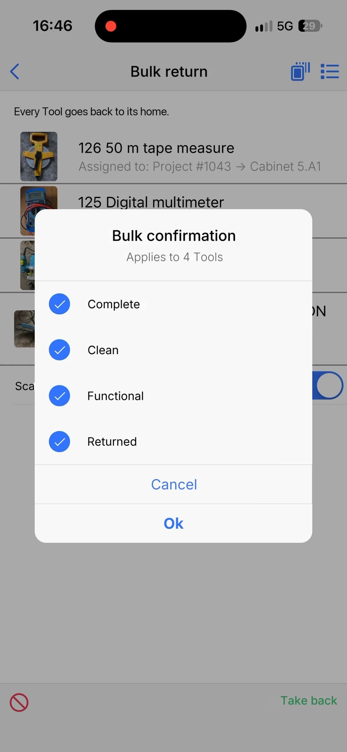The Bulk confirmation dialog with the return checklist, applies to four tools